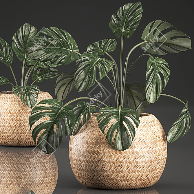 Tropical Monstera in Rattan Basket 3D model image 3