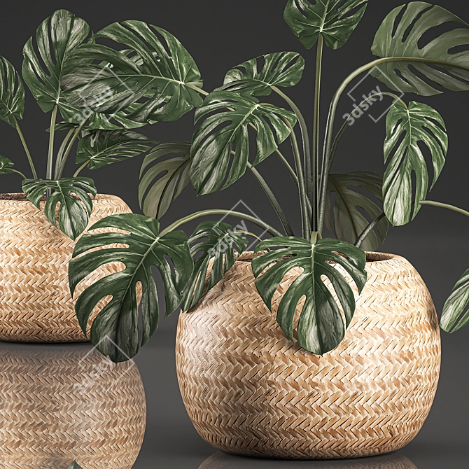 Tropical Monstera in Rattan Basket 3D model image 4