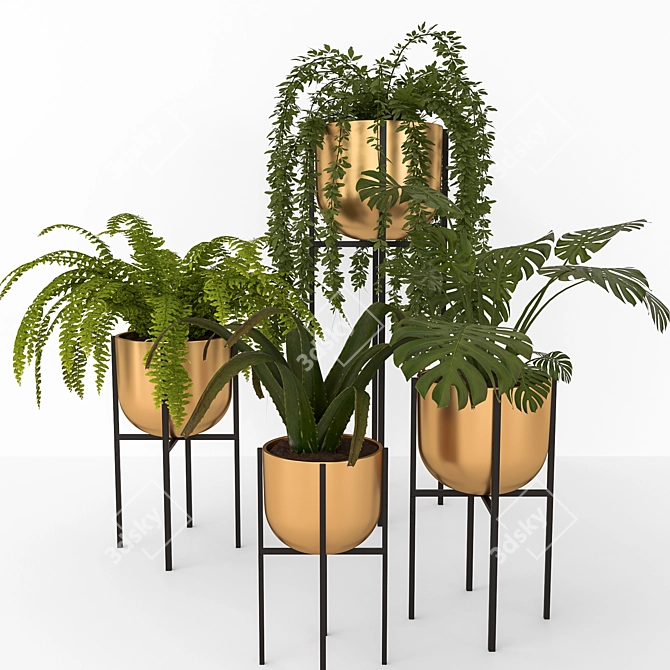  Corona Plant Set | 3DSMAX, FBX 3D model image 1