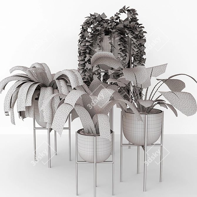  Corona Plant Set | 3DSMAX, FBX 3D model image 3