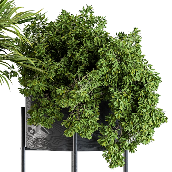 Sleek Black Plant Box 3D model image 3
