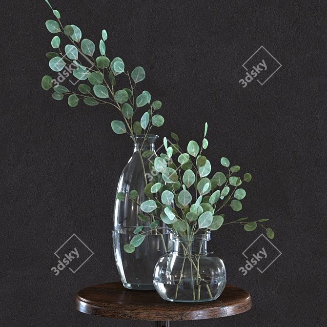 Silver Dollar Eucalyptus Set 3D model image 1