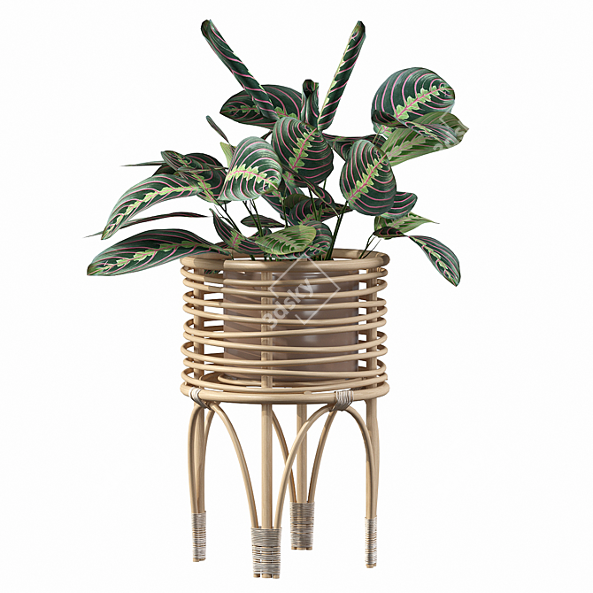 Elegant Rattan Maranta Stand 3D model image 3