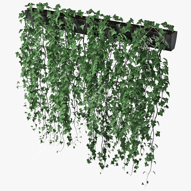 Lush Ivy Plant in Pot 3D model image 2