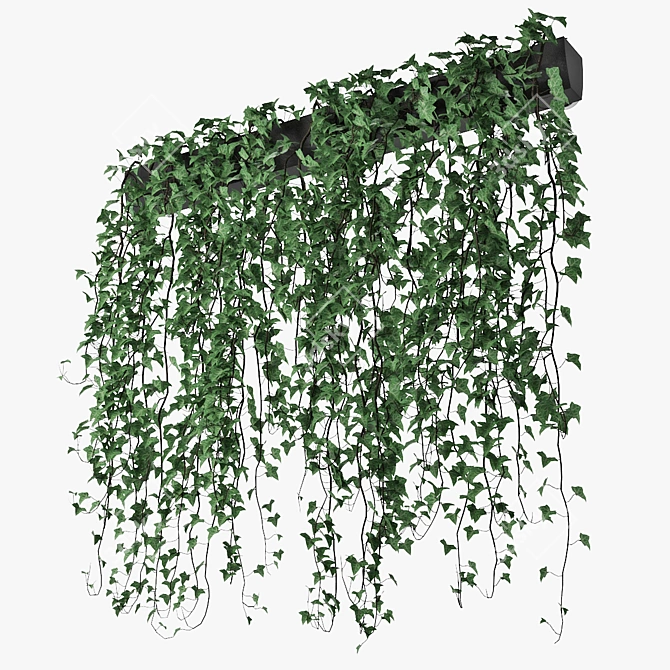 Lush Ivy Plant in Pot 3D model image 3