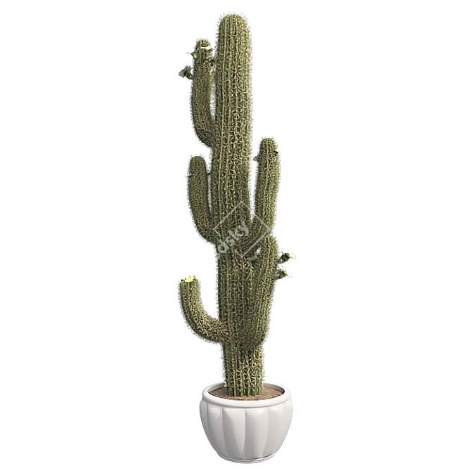 Desert Oasis Cactus Pot 3D model image 1