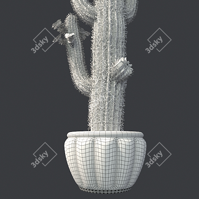 Desert Oasis Cactus Pot 3D model image 5