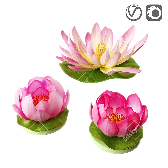 Floating Lily Artificial Flowers Set 3D model image 1