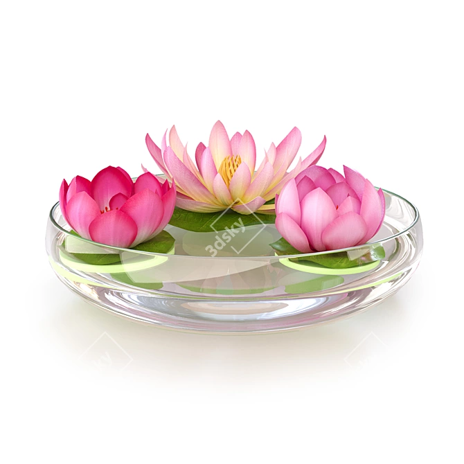 Floating Lily Artificial Flowers Set 3D model image 3