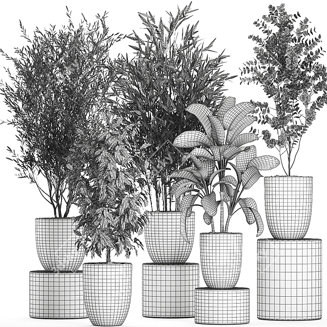 Tropical Plant Collection: Olive, Bamboo, Ficus 3D model image 5