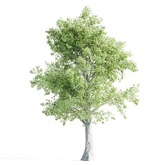 Enchanting 4-Piece Corona Tree Set 3D model image 4