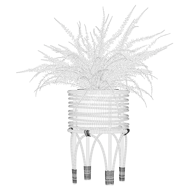 Indoor Fern Plant: High-quality 3D Model 3D model image 5