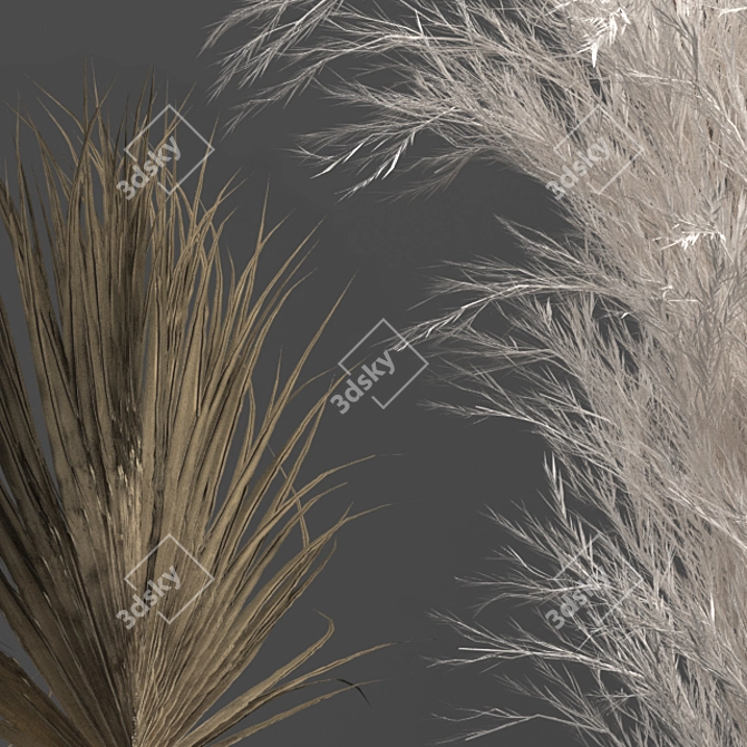 Exquisite Dry Plant Collection 3D model image 4