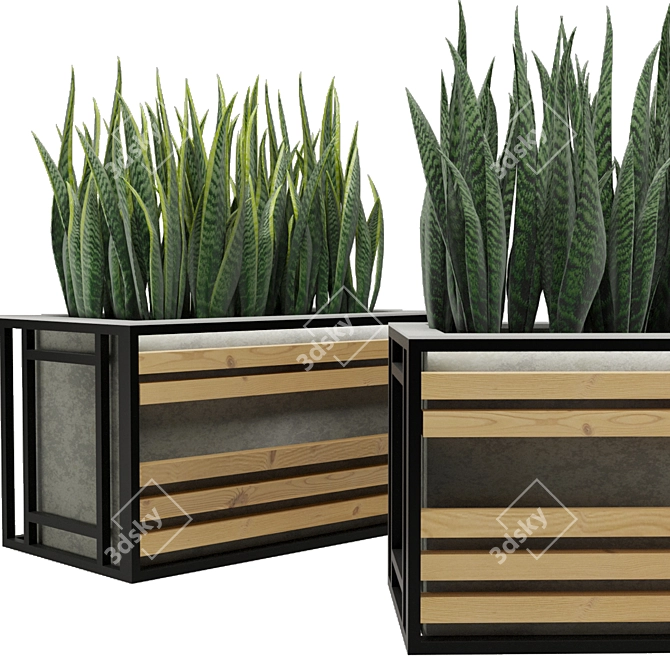 Concrete Textured Sansevieria Planter 3D model image 2