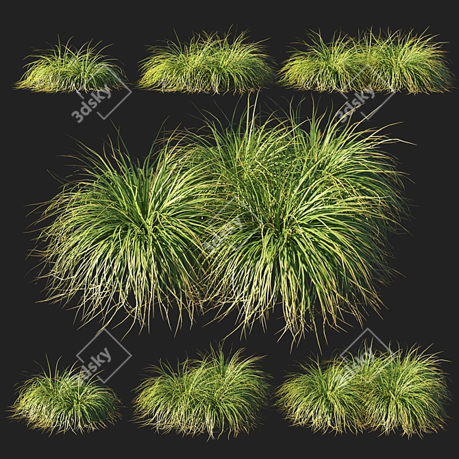 Muhly Grass: Nature's Beauty in Your Garden 3D model image 1