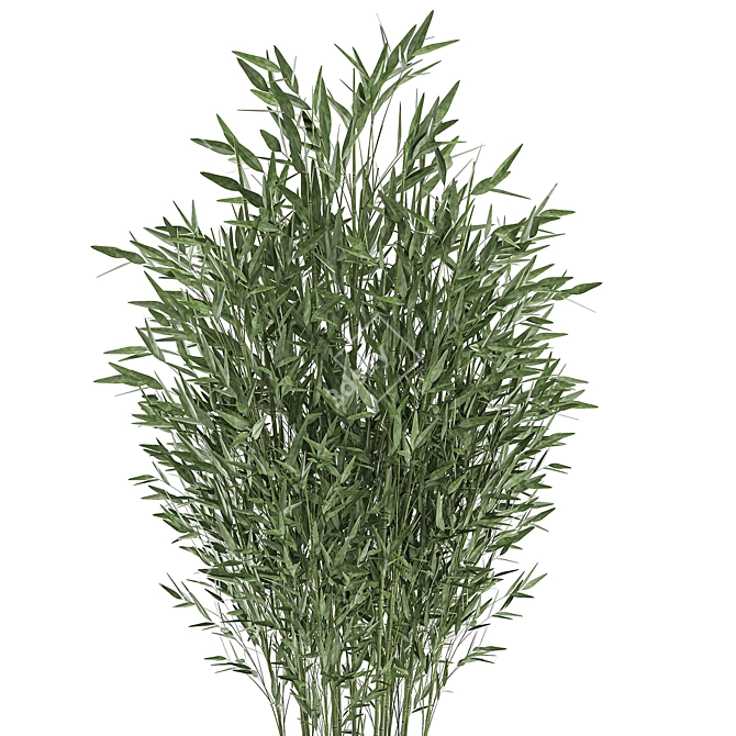 Exotic Bamboo Plant Collection 3D model image 2