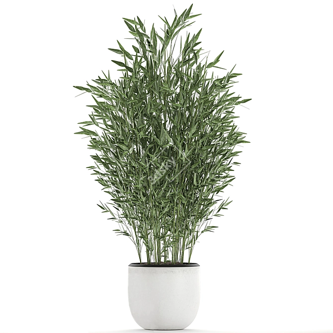 Exotic Bamboo Plant Collection 3D model image 3