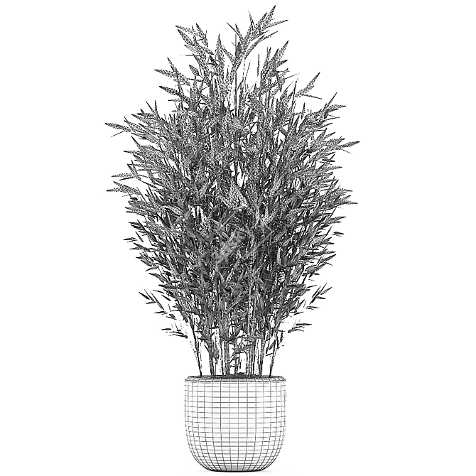 Exotic Bamboo Plant Collection 3D model image 5