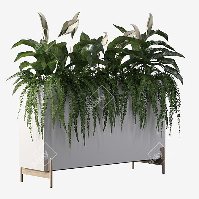 Office Greenery Set: Fern & Peace Lily 3D model image 4