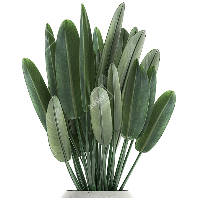 Exotic Plant Collection in White Vase 3D model image 3