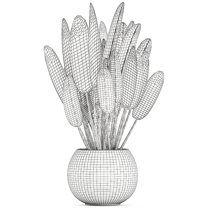 Exotic Plant Collection in White Vase 3D model image 5