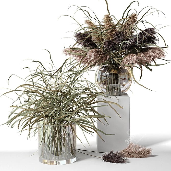 Elegant Herb Bouquets in Glass 3D model image 1