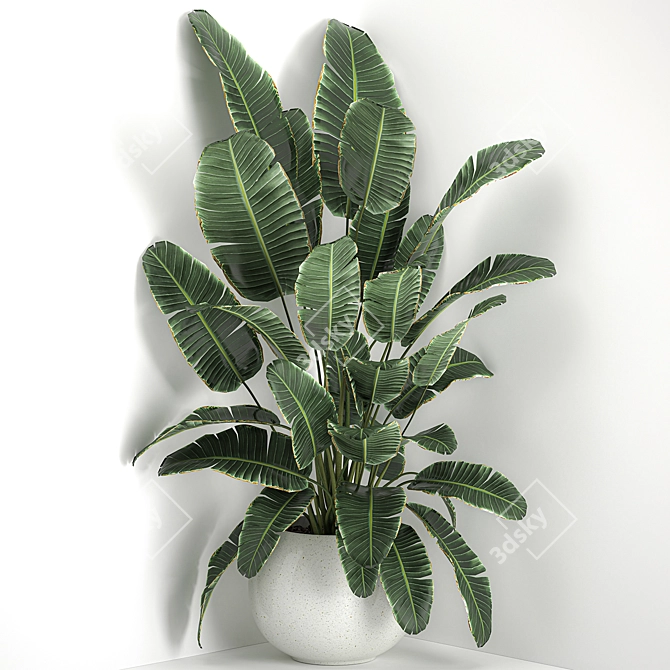 Exotic Corner Plant Collection 3D model image 1