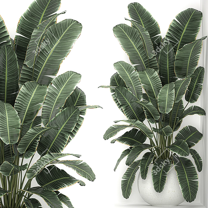 Exotic Corner Plant Collection 3D model image 2