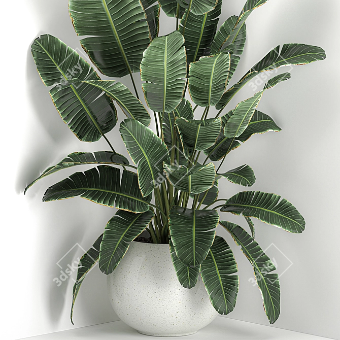 Exotic Corner Plant Collection 3D model image 3