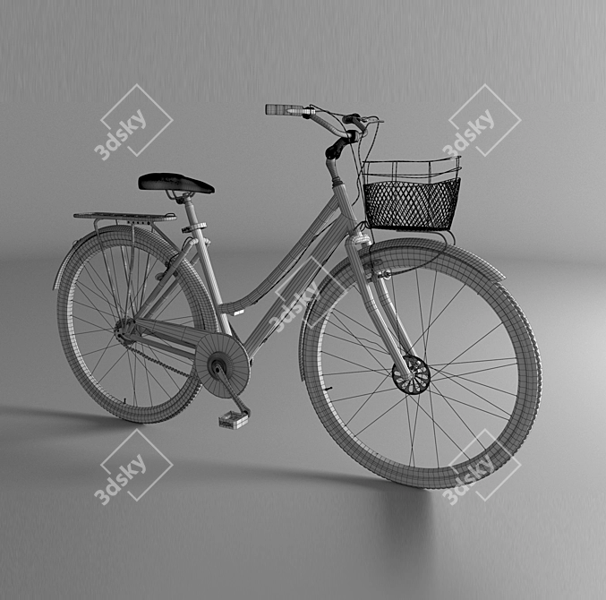 Russian Female Bike: 3Ds Max 2016 3D model image 6