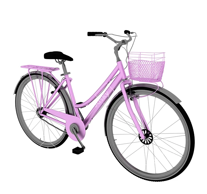 Russian Female Bike: 3Ds Max 2016 3D model image 10