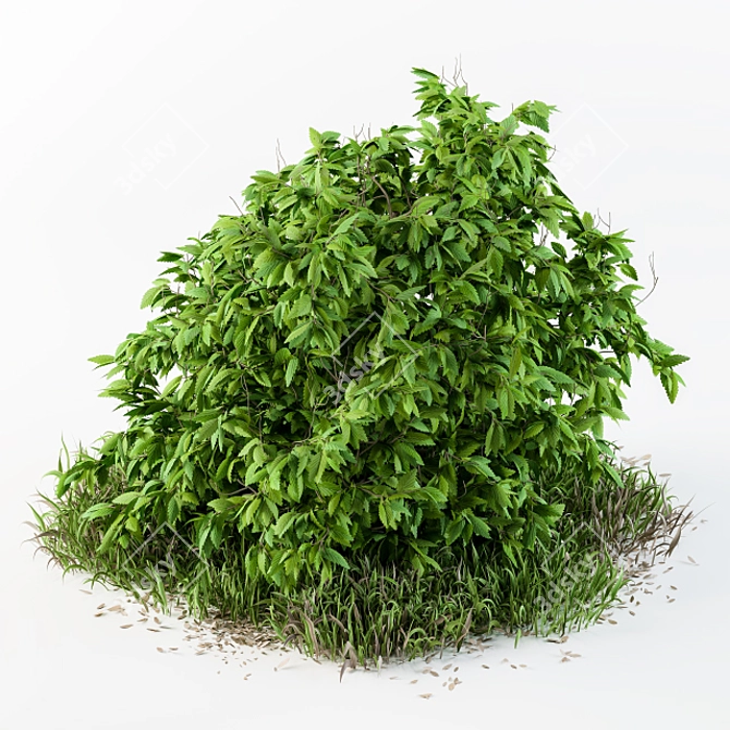 Strawberry Bush & Wild Grass - Outdoor Delight! 3D model image 1