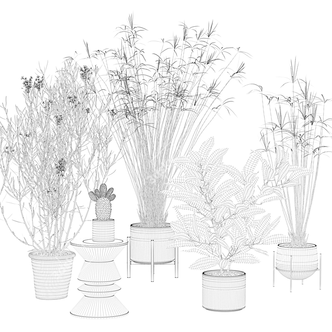 Exquisite Plants Collection 046: Croton, Oleander, Opuntia, Papyrus 3D model image 2