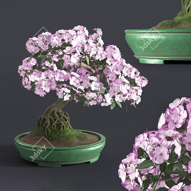 Japanese Azalea Bonsai: Tradition Transformed 3D model image 1