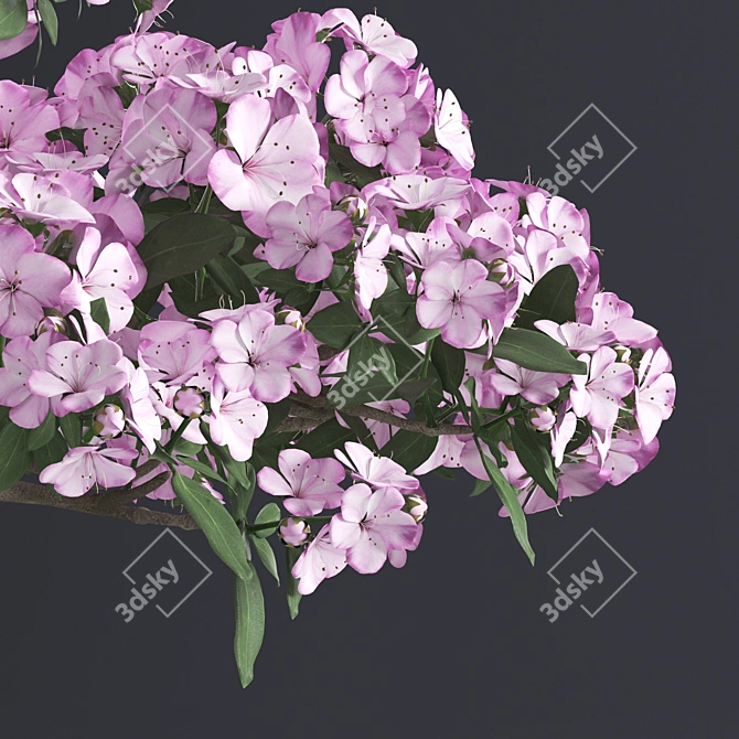 Japanese Azalea Bonsai: Tradition Transformed 3D model image 4