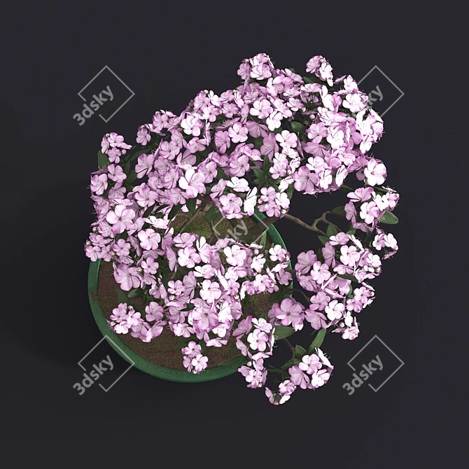 Japanese Azalea Bonsai: Tradition Transformed 3D model image 5