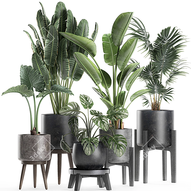 Exotic Plant Collection in Black Vase 3D model image 1