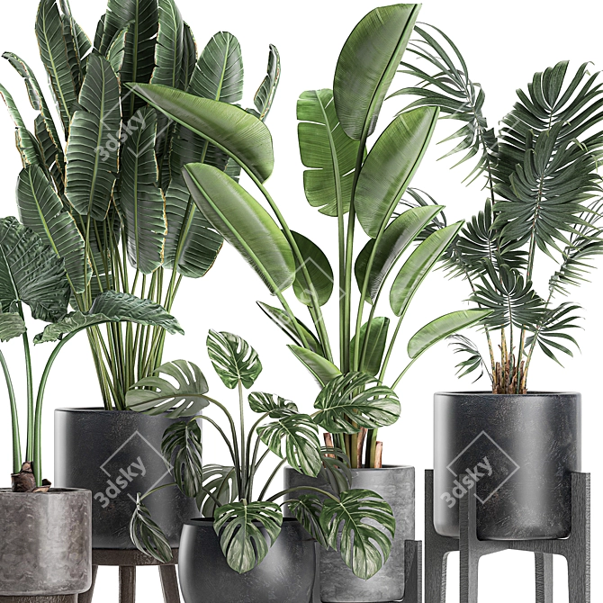 Exotic Plant Collection in Black Vase 3D model image 3