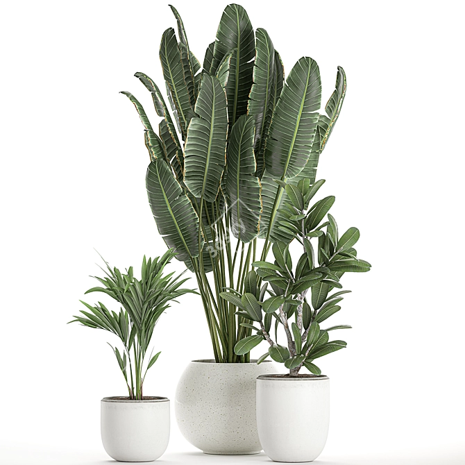 Exotic Plant Collection in White Vase 3D model image 2