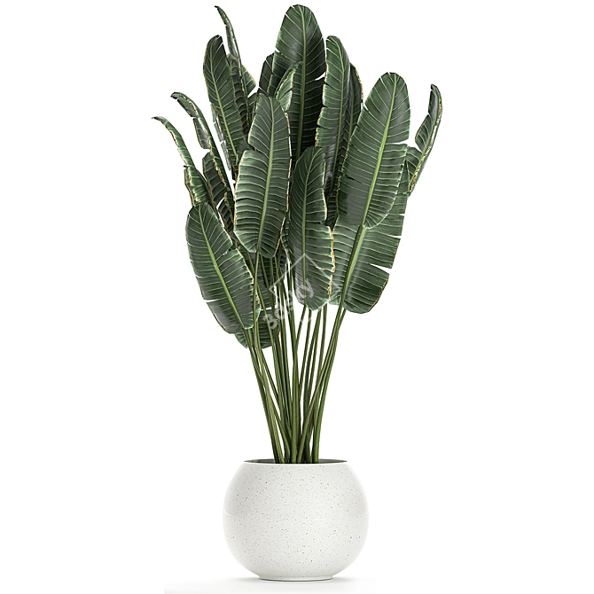 Exotic Plant Collection in White Vase 3D model image 4