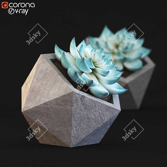 3D Cactus Model Archive 3D model image 2