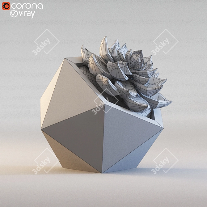3D Cactus Model Archive 3D model image 3