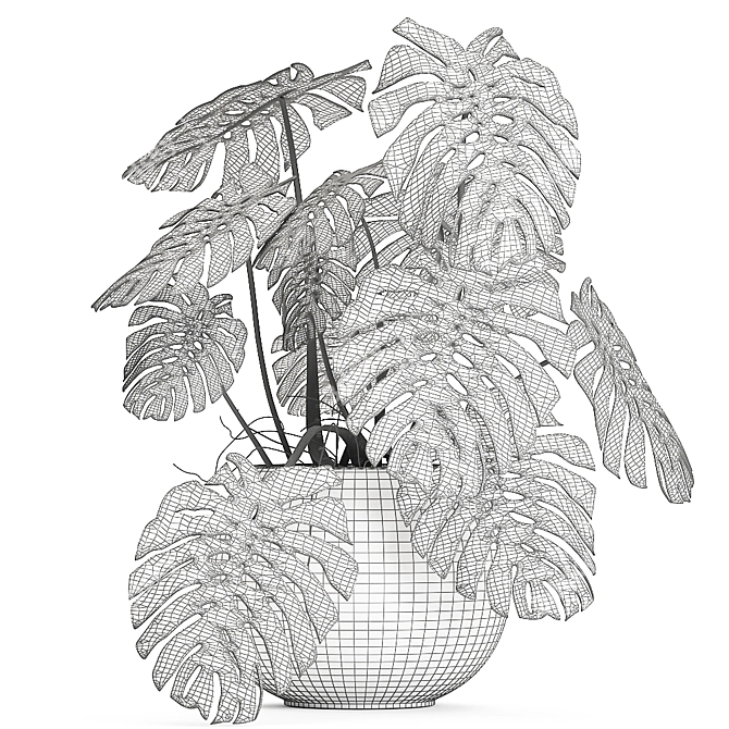 Monstera Plant | White Vase | Exotic Indoor Plant 3D model image 5