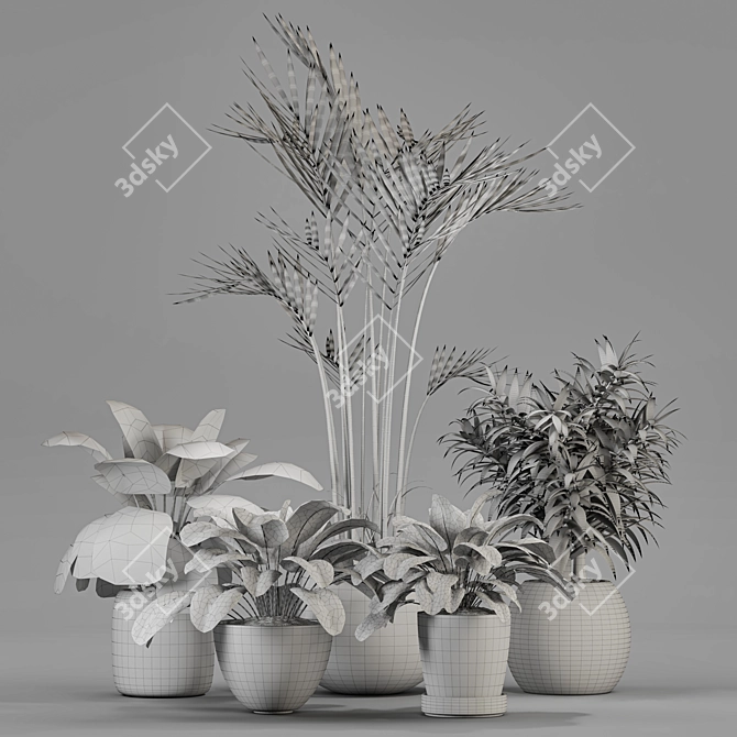 Variety of Plants Collection 3D model image 2