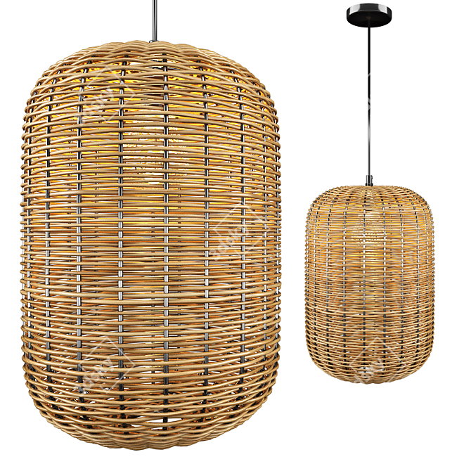 Rattan and Metal Ceiling Lamp 3D model image 7