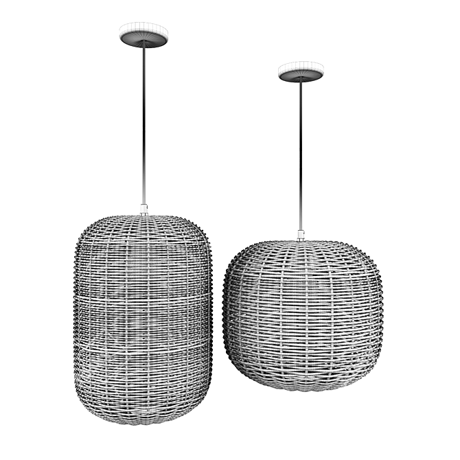 Rattan and Metal Ceiling Lamp 3D model image 9