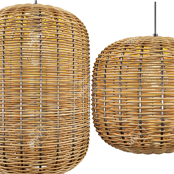 Rattan and Metal Ceiling Lamp 3D model image 10