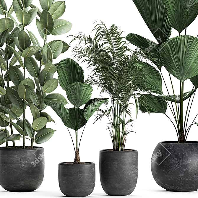 Exotic Plant Collection in Black Vase 3D model image 2