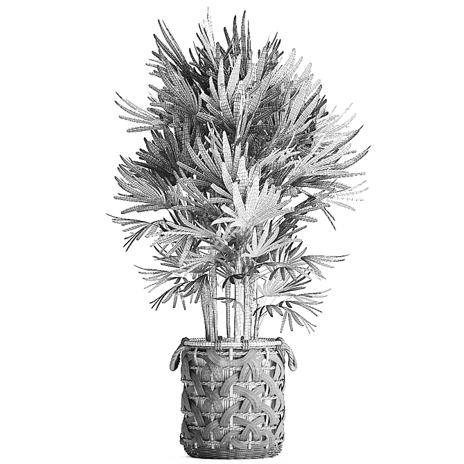 Exotic Raphis Palm: Indoor and Outdoor Decor 3D model image 5