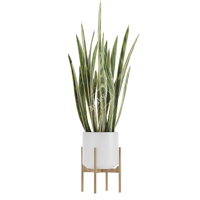 Sleek and Stylish Sansevieria 2 3D model image 3